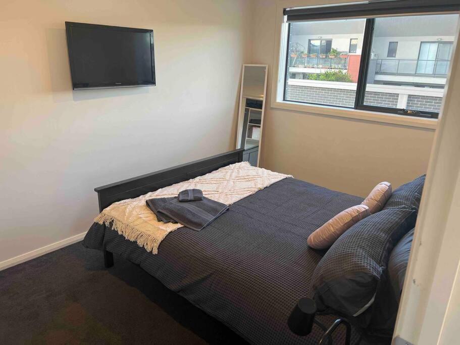 Apartment Adorable 1 Bedroom Unit In Coombs